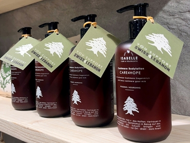 Bild für Kategorie The Orient - YOU SUPPORT S4L