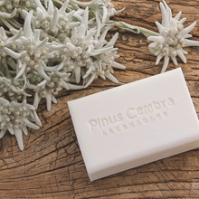 Bild für Kategorie Cashmere Body Line - Arve